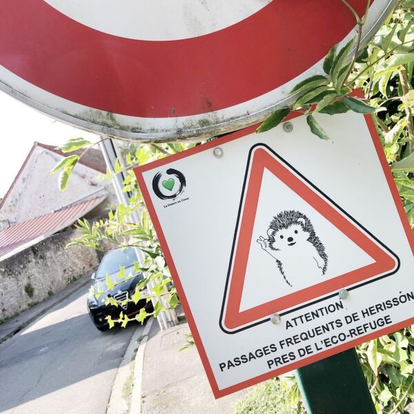 Eco-refuge de la douaye, Hérissons Eco-refuge de la douaye, Hérissons