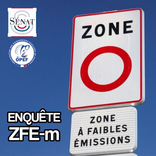 Mission flash sur l'acceptabilité et la mise en œuvre des ZFE-m