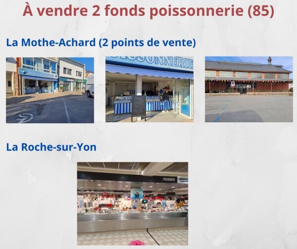 À vendre 2 fonds de commerce �?? La Mothe-Achard et la Roche-sur-Yon (85)