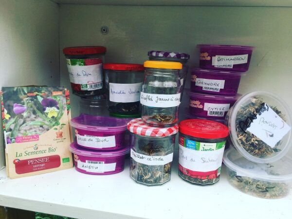 Notre action phare Notre action phare