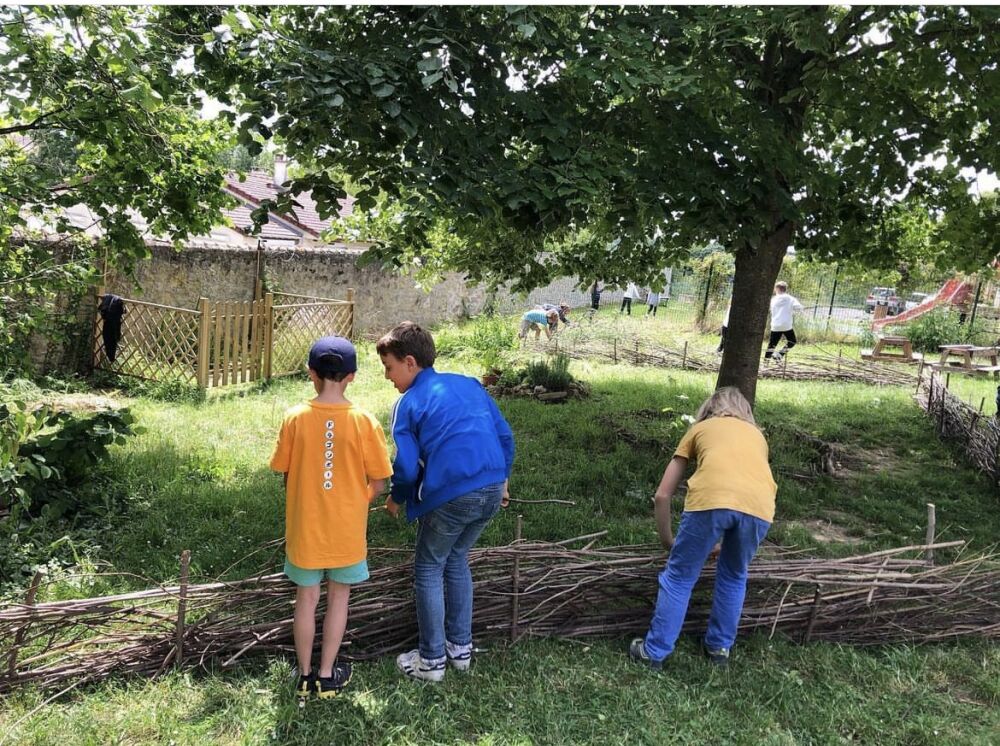 Zone de bzzz Zone de bzzz