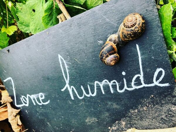 Notre action phare Notre action phare