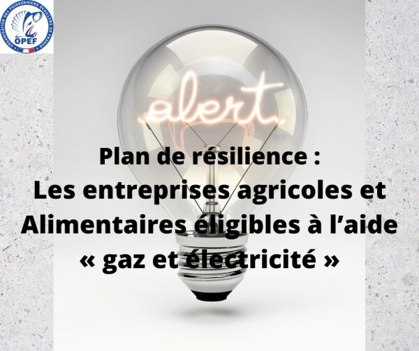 Plan de résilience : Les entreprises agricoles et Alimentaires éligibles à l'aide « gaz et électricité »