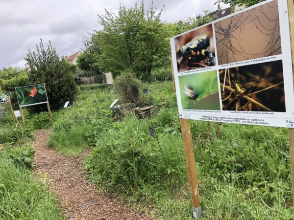 Notre action phare Notre action phare