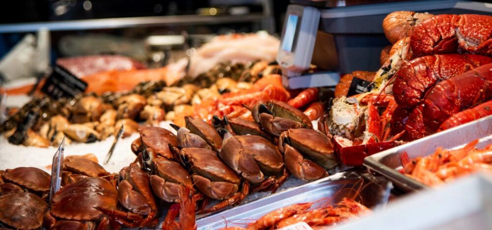 Présentation OPEF Présentation OPEF