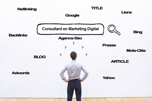 Consultant en Marketing Digital Consultant en Marketing Digital
