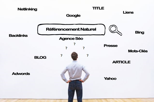 Consultant SEO Local Consultant SEO Local