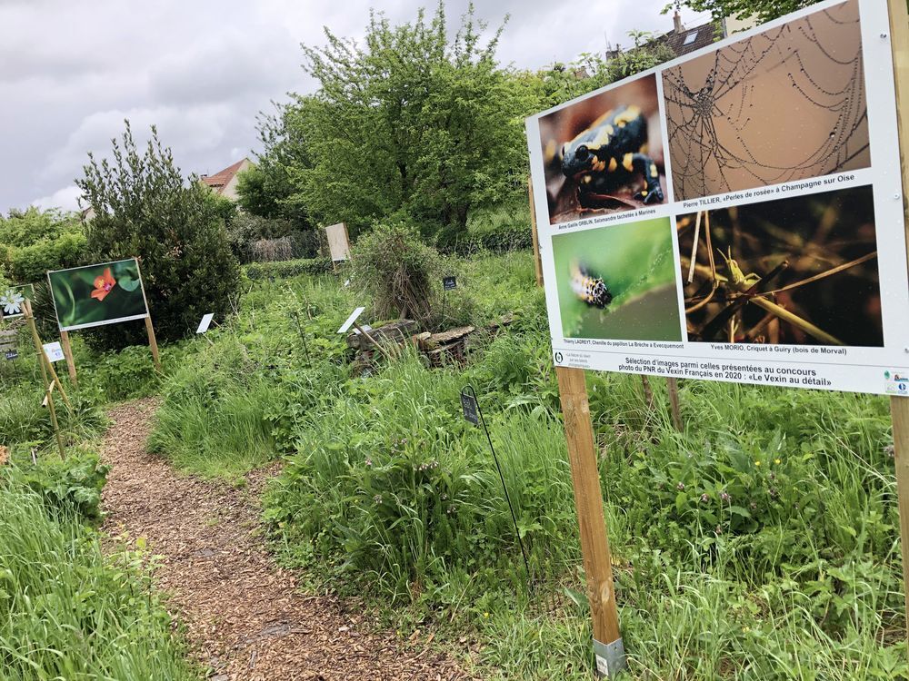 Notre action phare Notre action phare